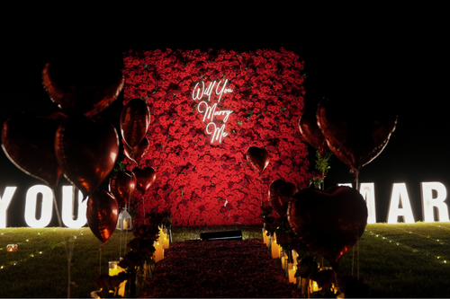 Under the Stars Proposal Experience