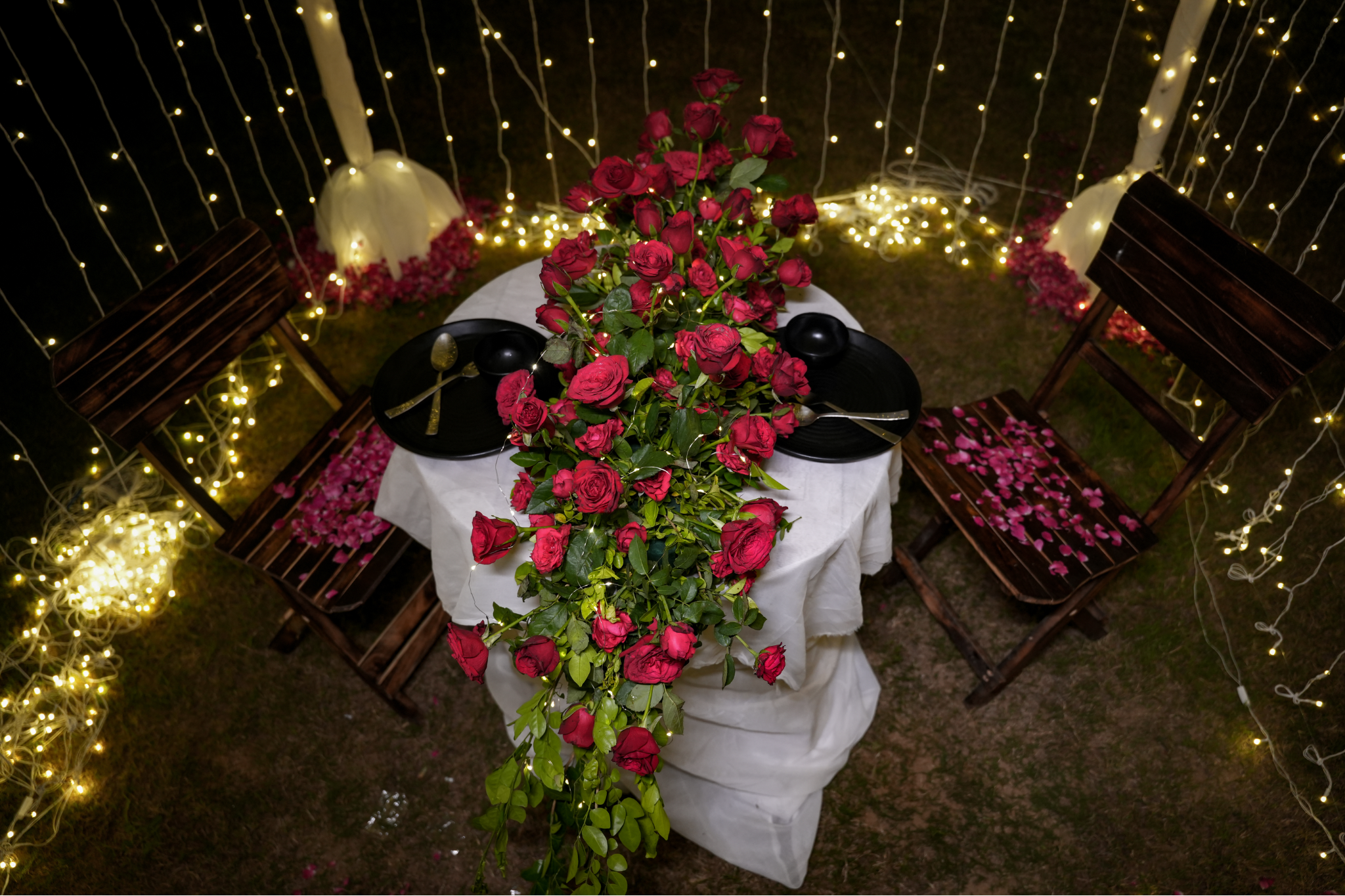 Under the Stars Proposal Experience