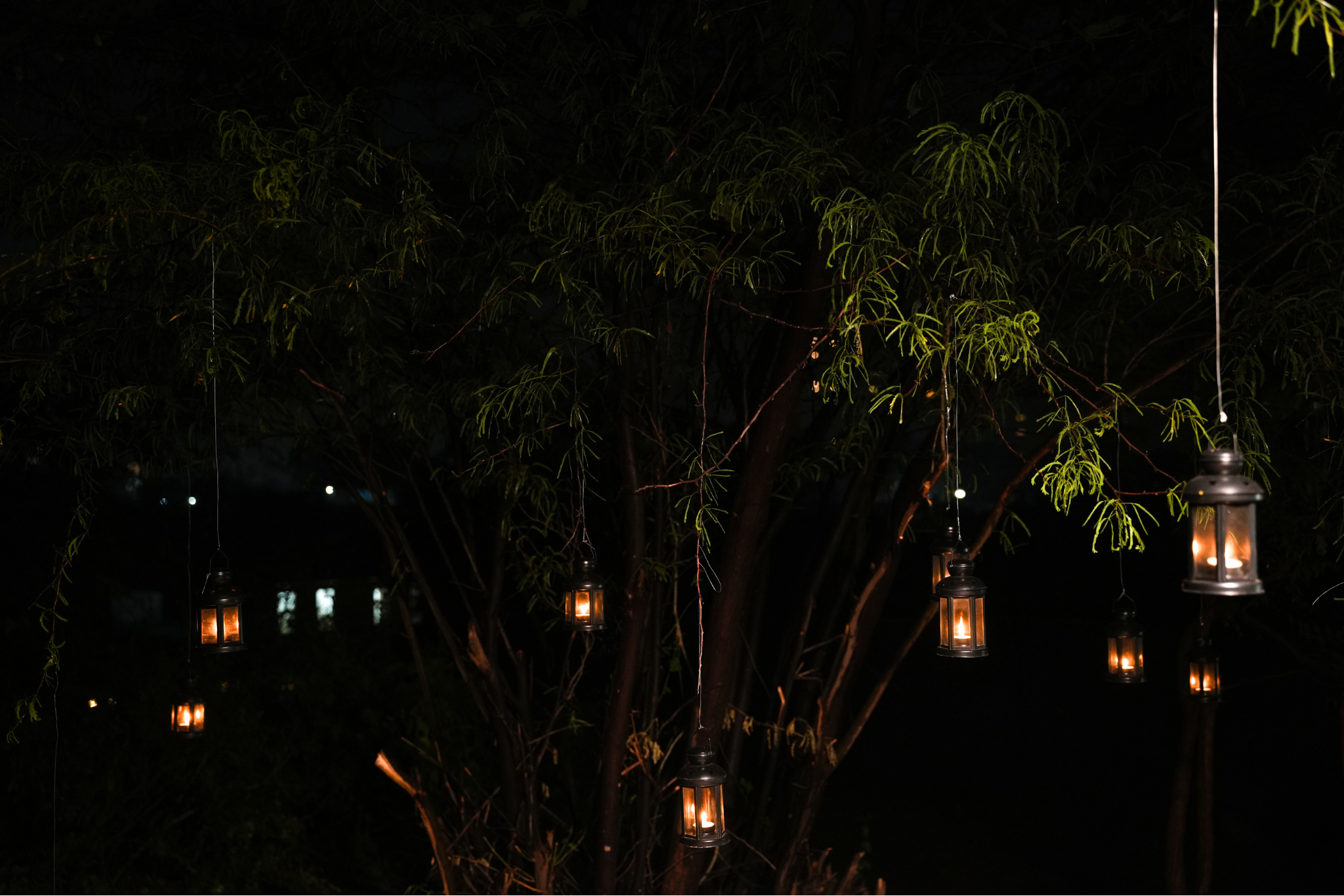 Starry Sky Candlelight Dining