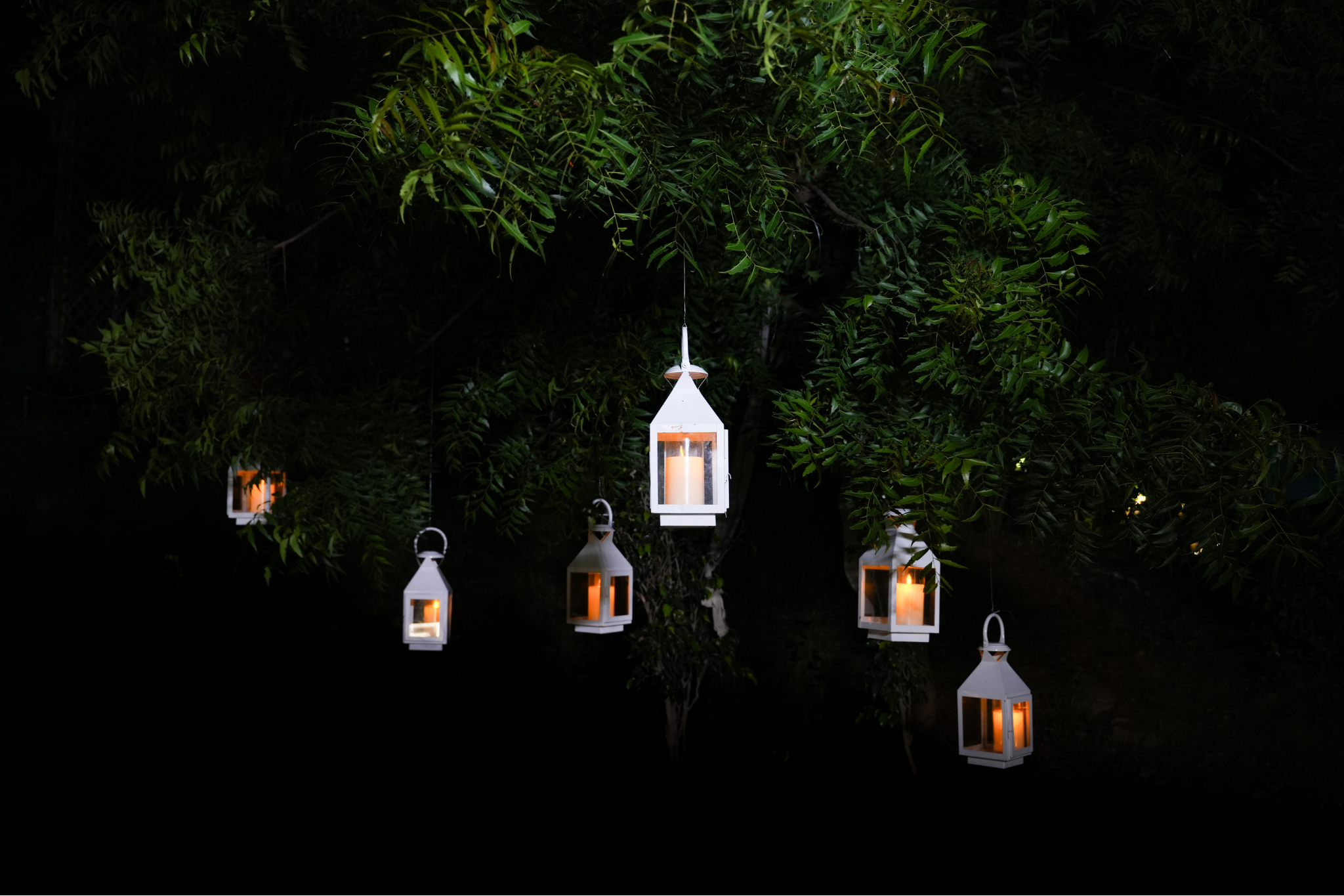 Better Together Candlelight Canopy Experience