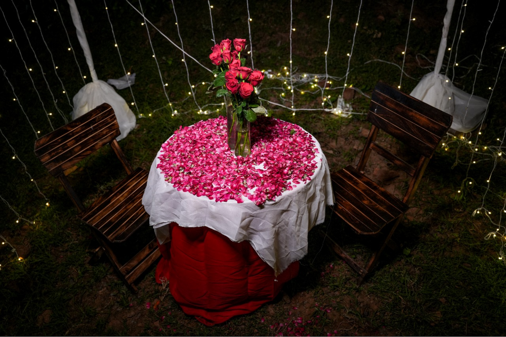 Romantic Movie Night Proposal With Waterfall View