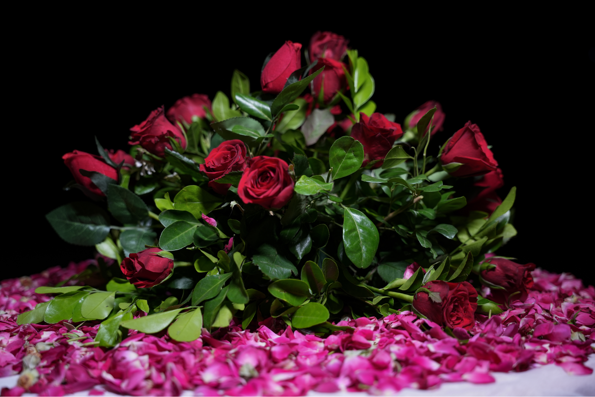 The Forever Aisle Outdoor Proposal Experience