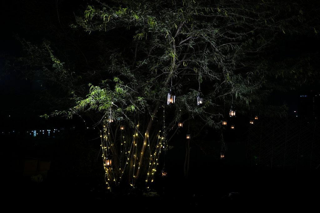 Heart of Lights Proposal Experience With Waterfall View