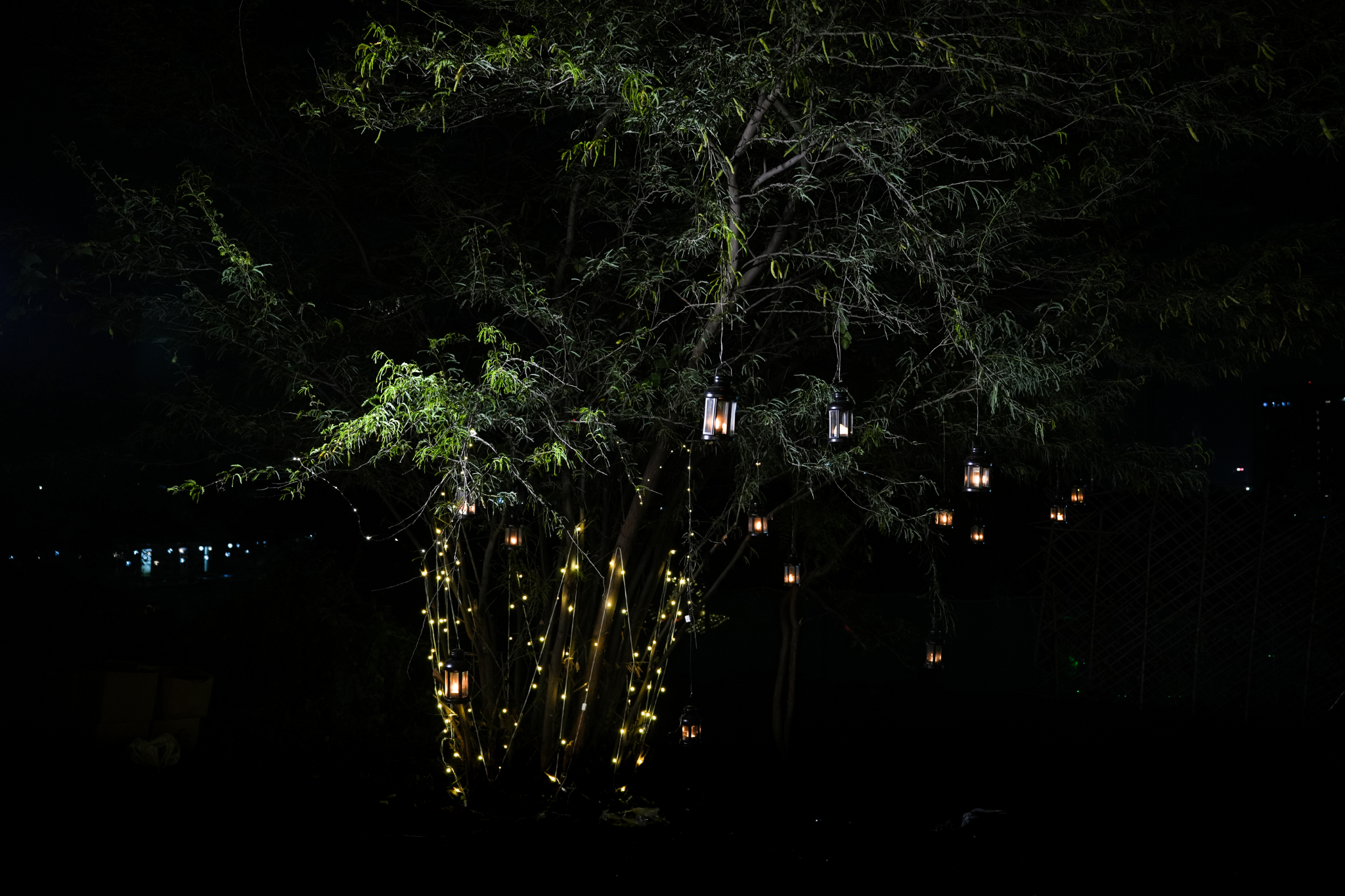 Heart of Lights Proposal Experience With Waterfall View